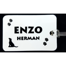 Dog Leash/Carrier Tag - Personalized