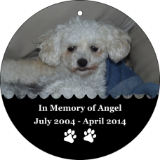 Loss Of Pet Photo Ornament - Personalized
